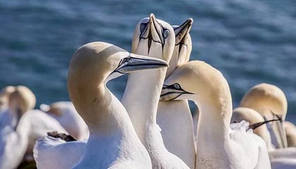 世界杯高清赛事直播-LCK眼里的Bin哥：外表看起来很坚强，没想到还挺少女心